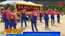 滑铁卢地区华人联谊会举办第四届华夏节