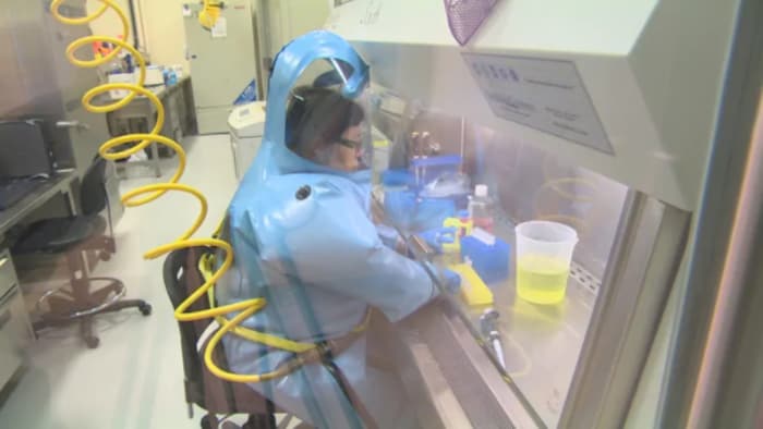 病毒学家邱香果在实验室工作。
